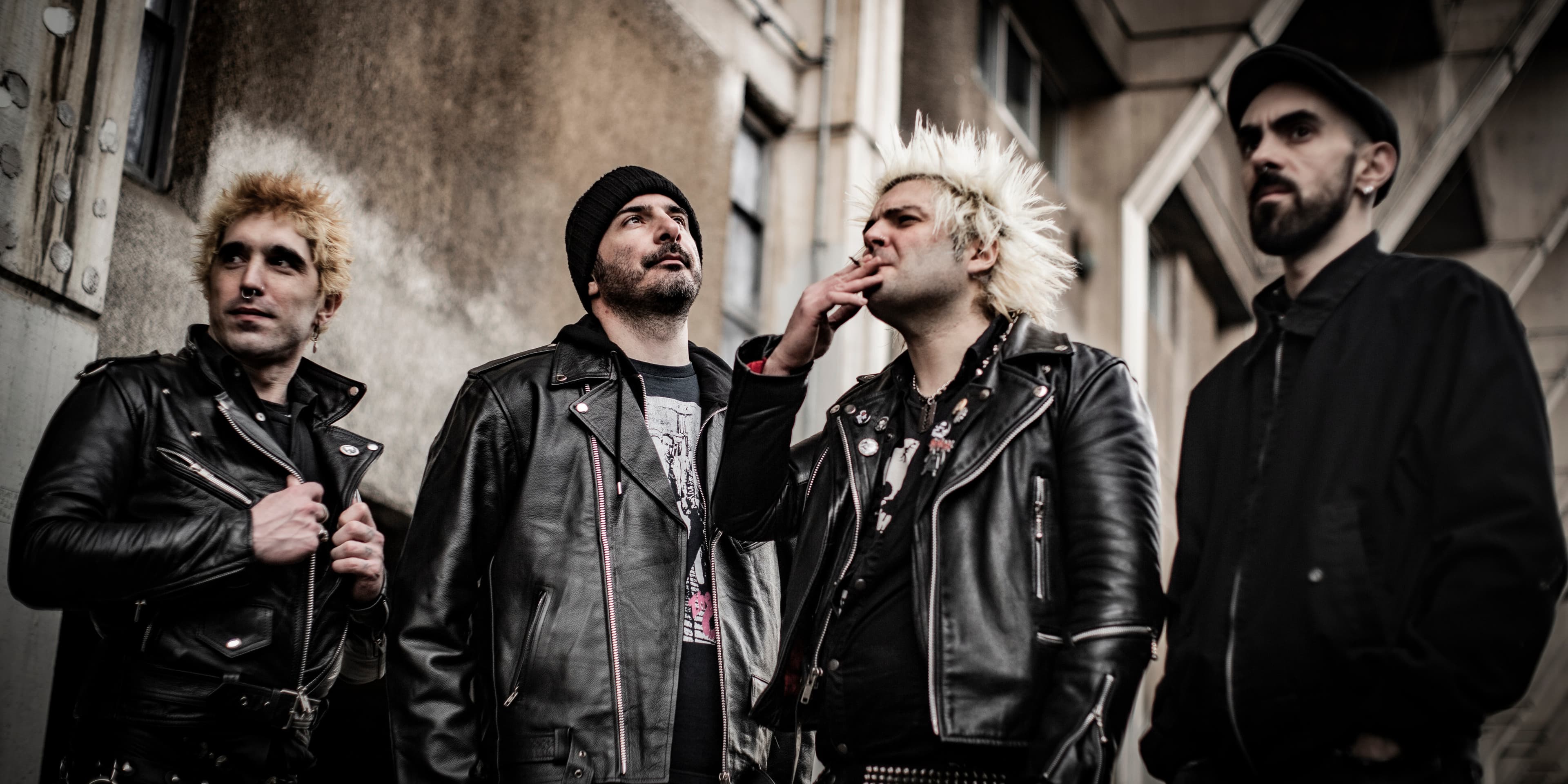 Blatoidea & Bad Nasty